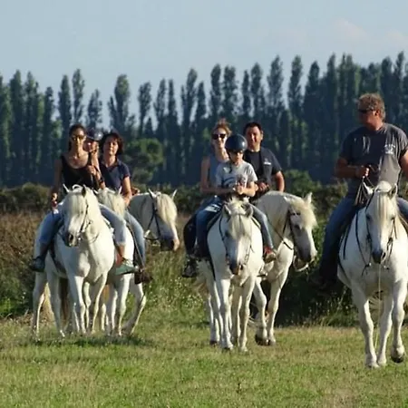Nettuno 8C * Lido di Pomposa